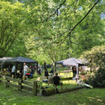 Boule_Turnier_ 01.05.2025, 14-00. 2025, 202511 20:11:13 51